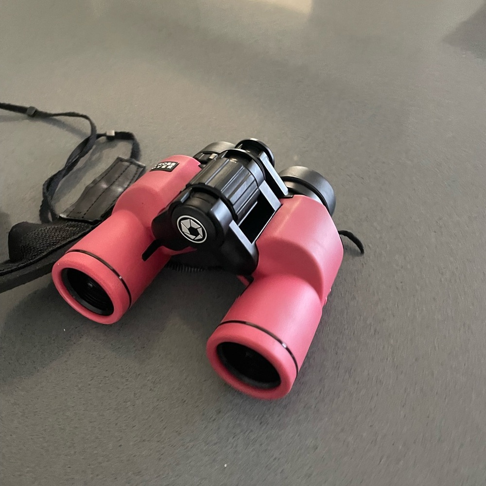 Compact Pink Binoculars